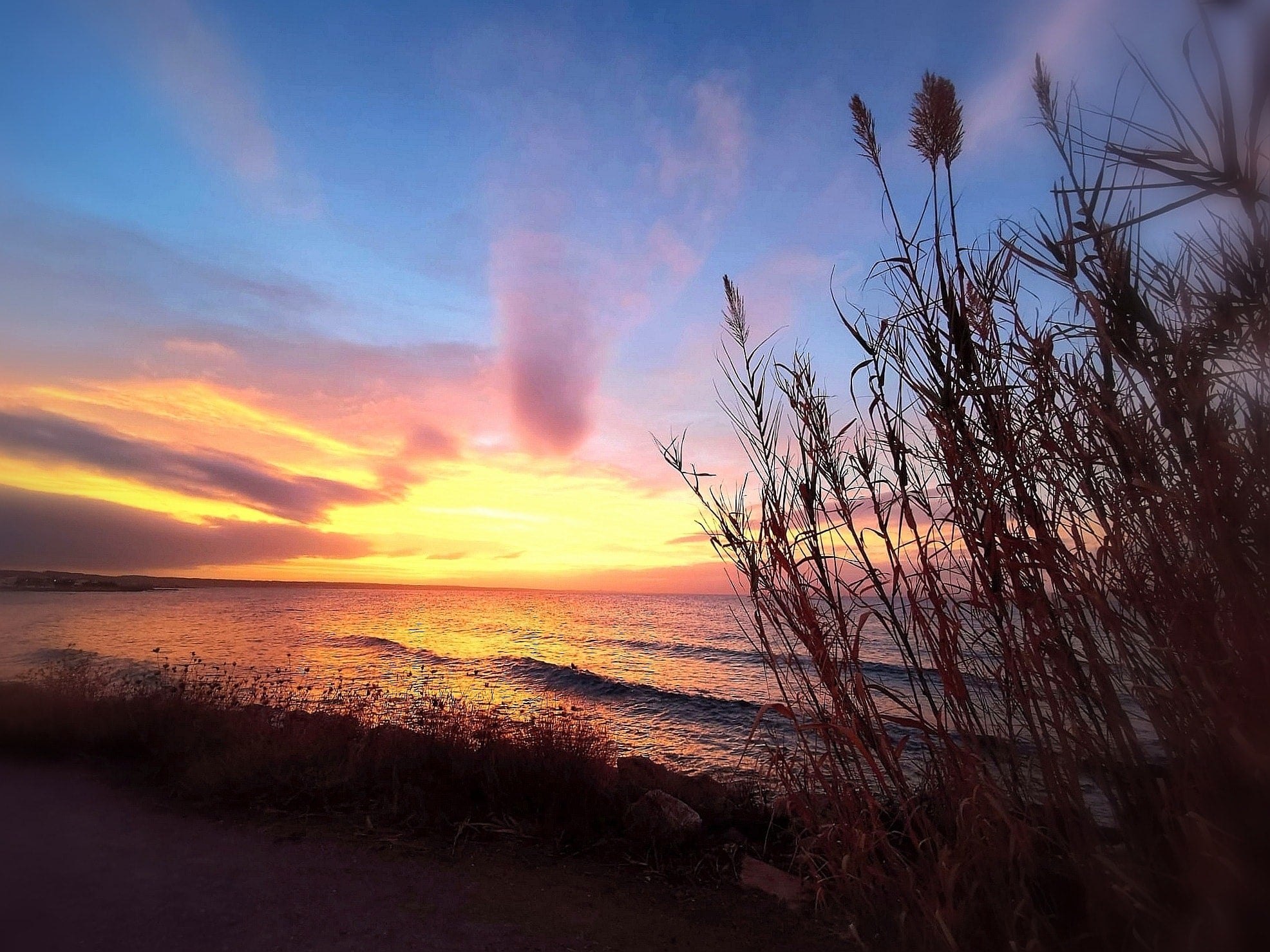 samaki originals Reiki Mallorca, Behandlungen im Mai