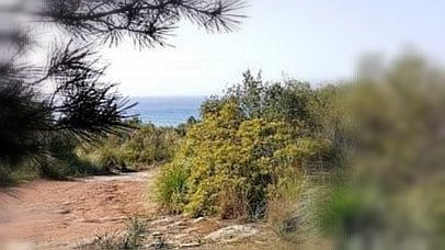 Mallorca Urlaub Wandern samaki wellness meditation reiki Edelsteine Heilsteine onlineshop Geschäft Can Picafort