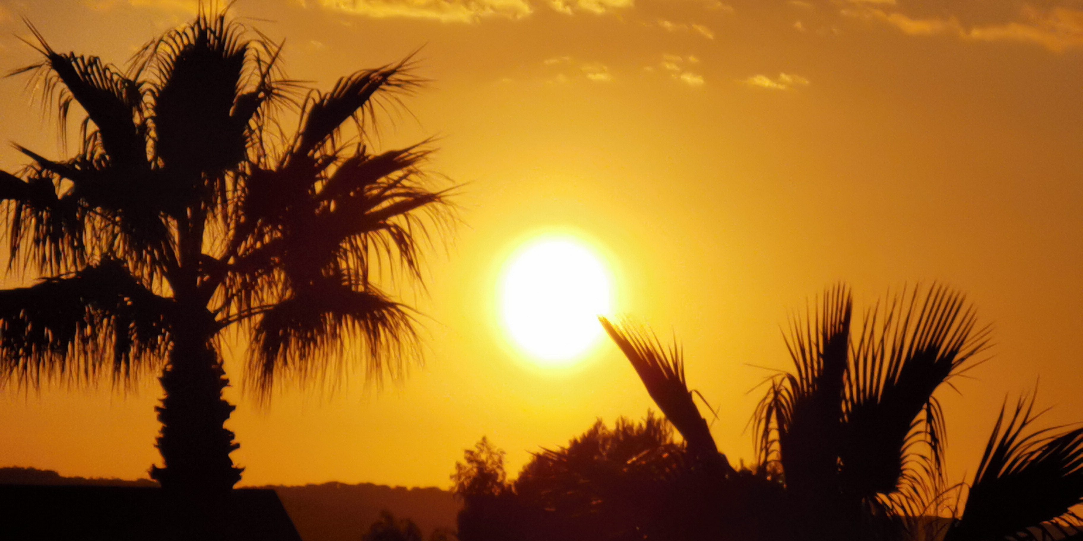 Mallorca samaki Sonnenuntergang samaki originals Can Picafort