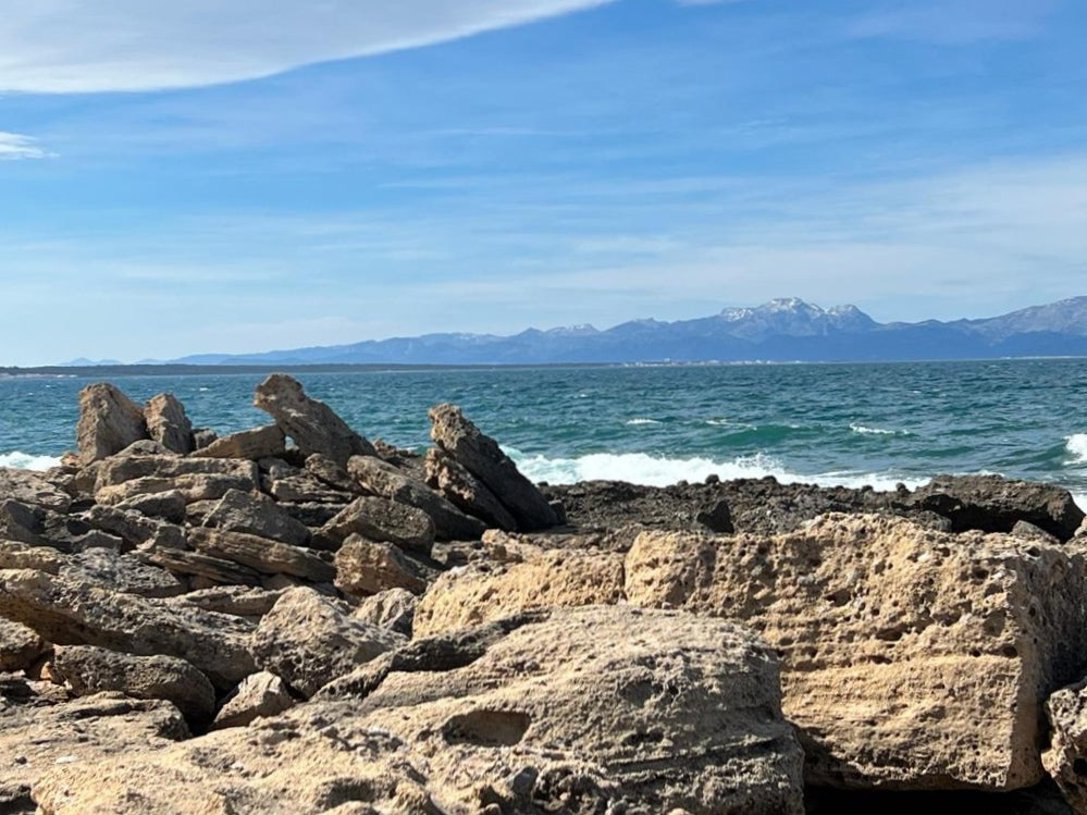 wir sehen uns bald in Can Picafort auf Mallorca