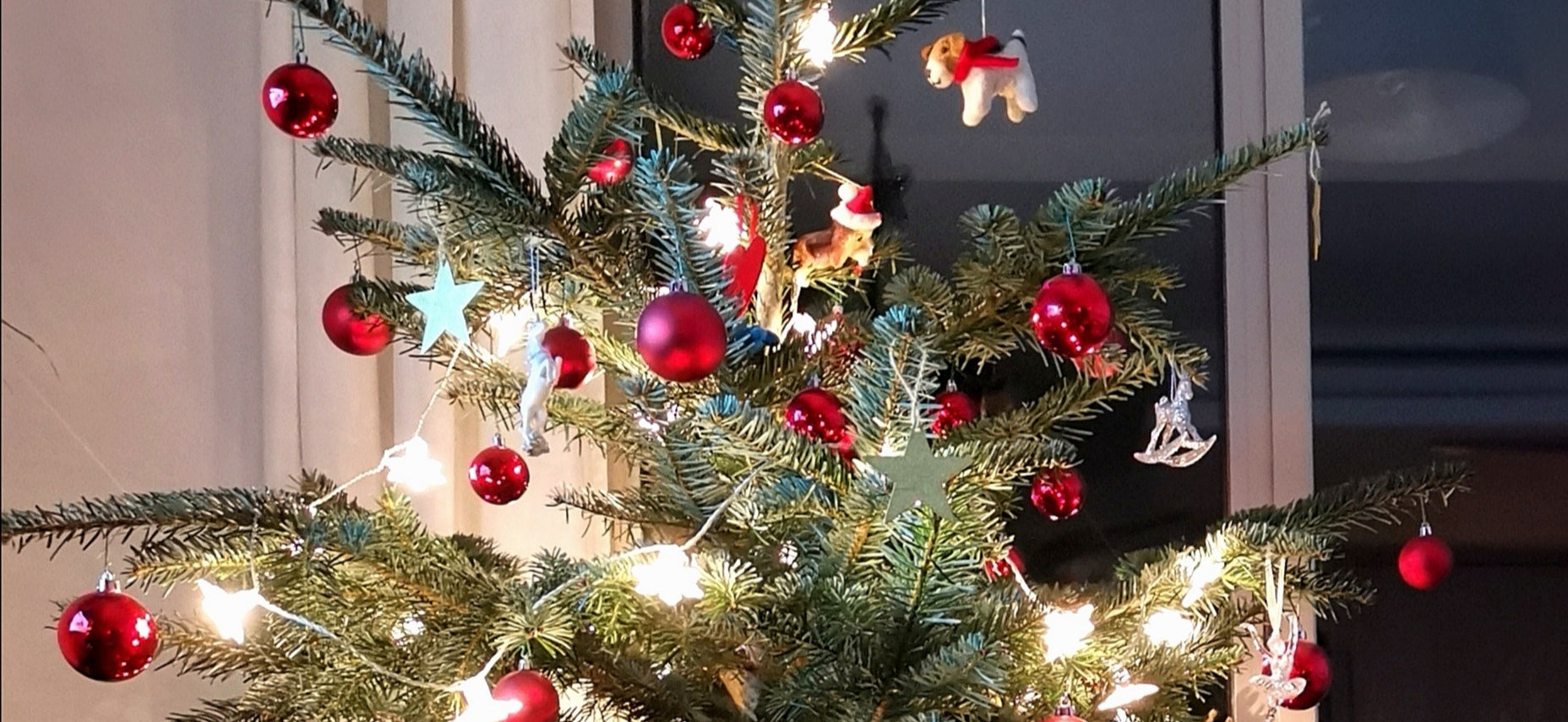 mallorca can picafort Licht und Liebe samaki mallorca Weihnachten 2020 hope Hoffnung love amor