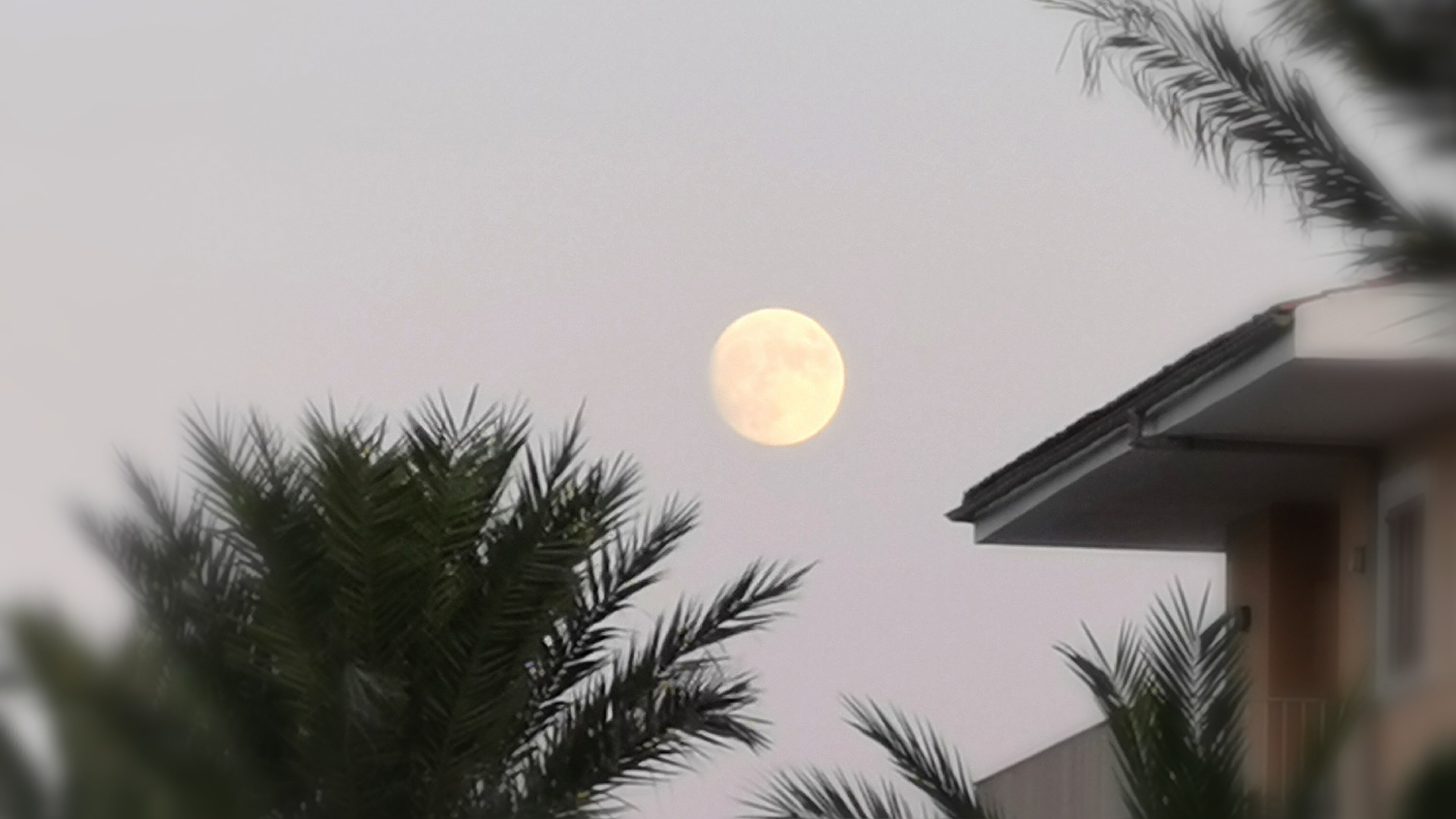 la luna - mystisch und zauberhaft