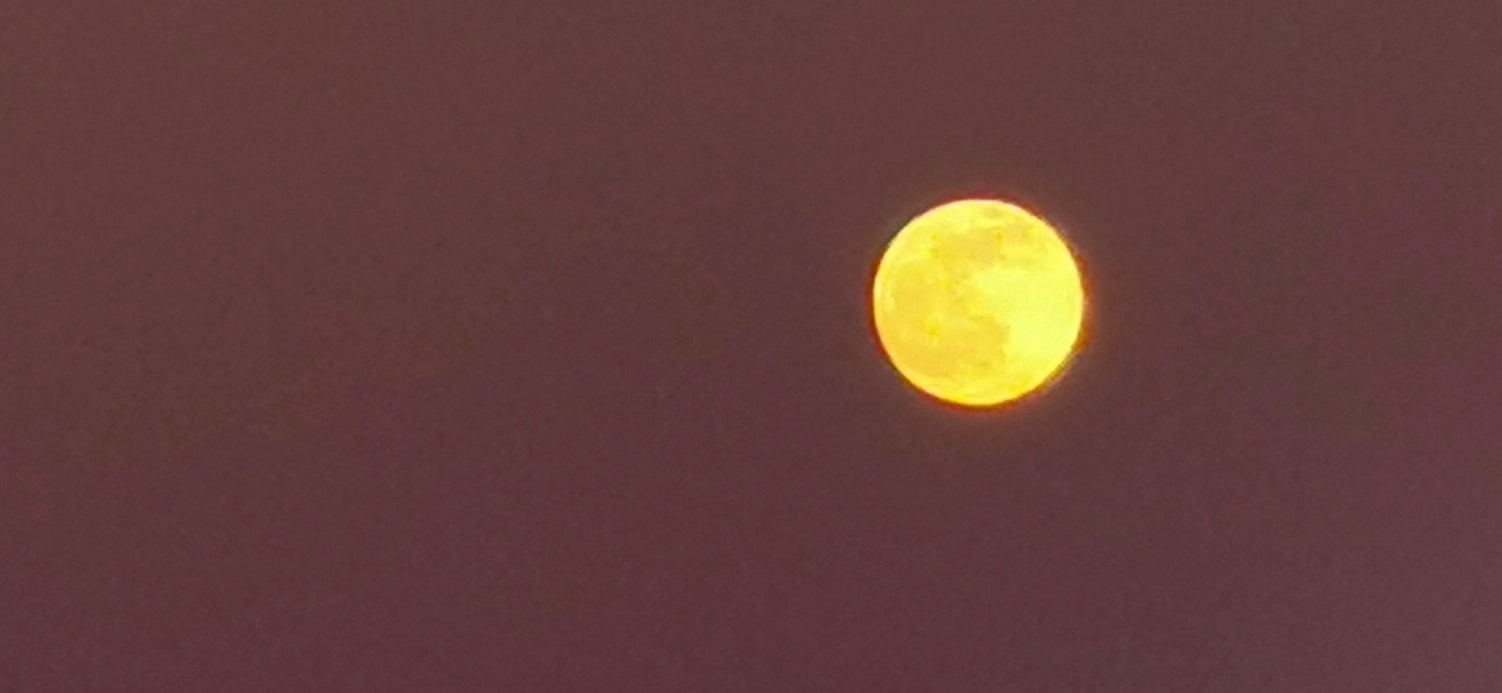Vollmondnächte, lichtvoll zauberhaft, kraftvoll