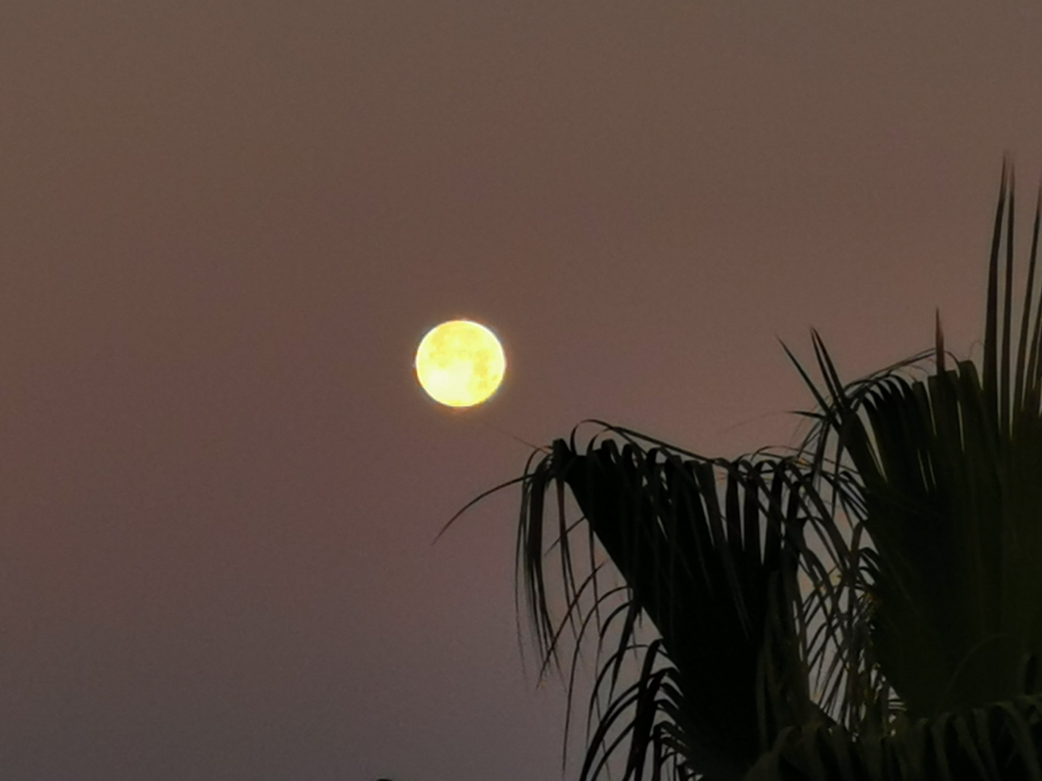 Vollmond