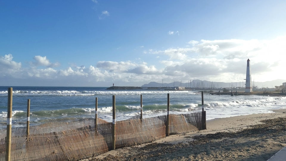 Winter auf Mallorca, der Januar in Can Picafort