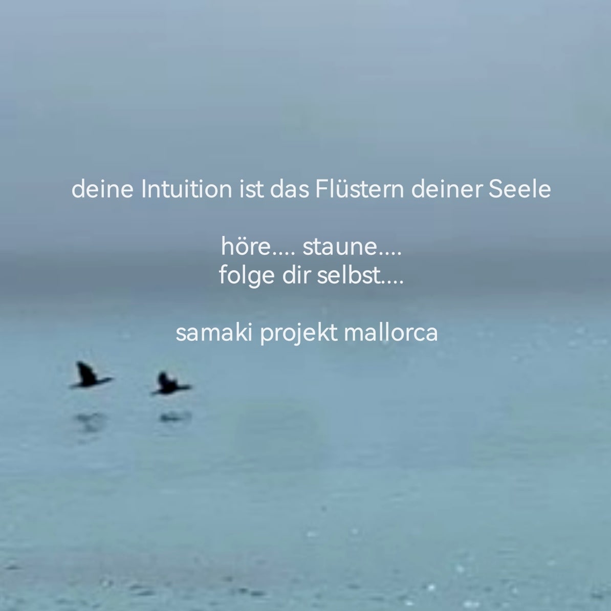 Deine Intuition ist das Flüstern der Seele