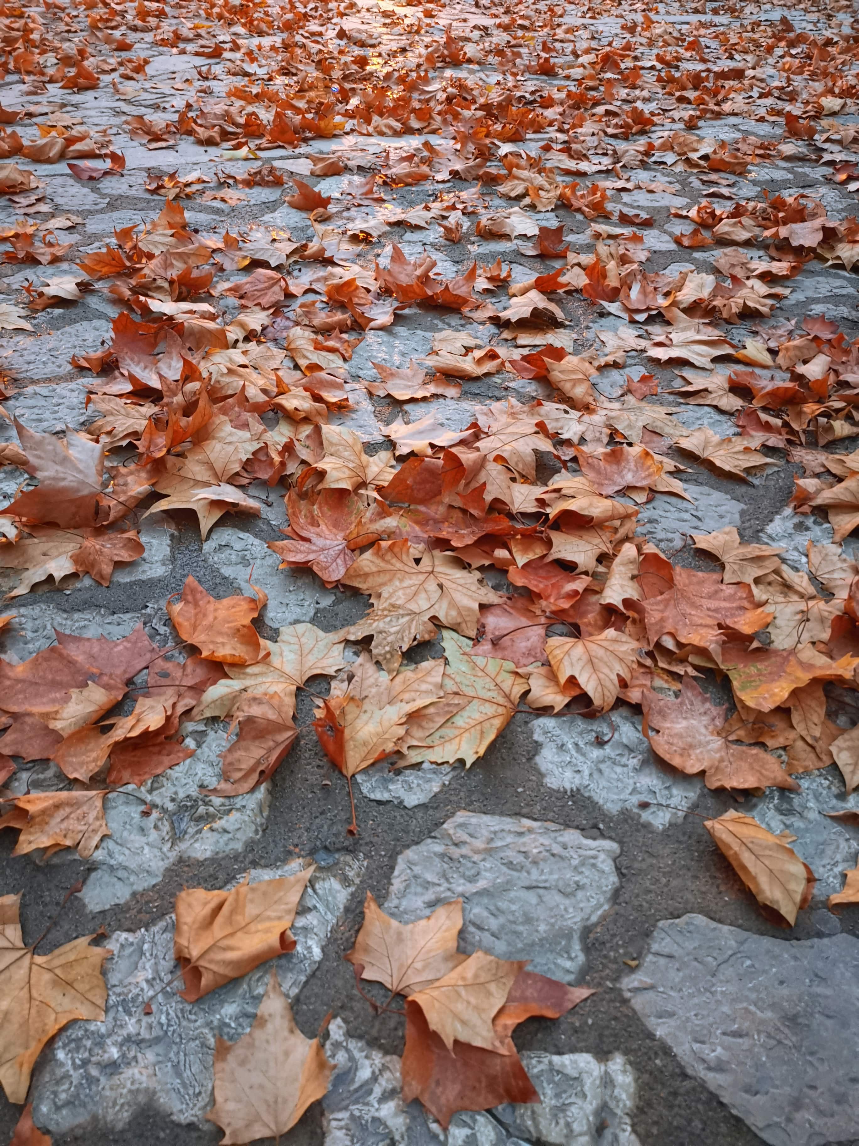 so viele Worte in dieser Welt … was sind deine eigenen ? hörst du sie deutlich ?