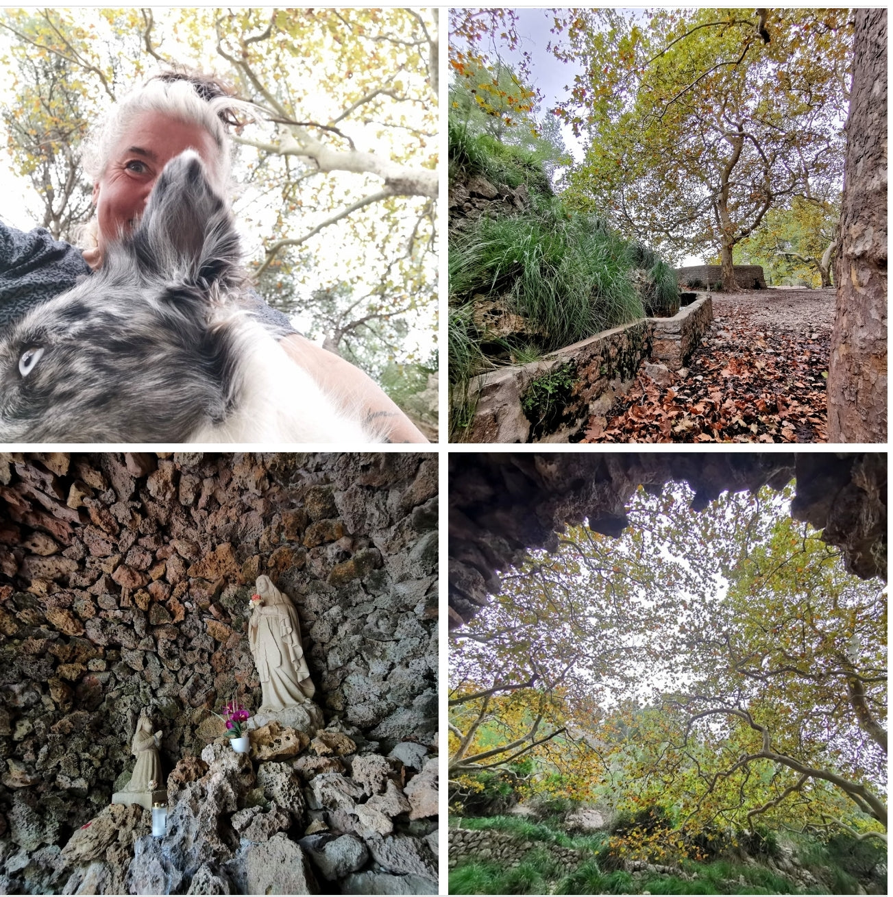 was für ein Frieden 🧡 im zauberhaften braun bunten Kastanien Herbstlaub rascheln