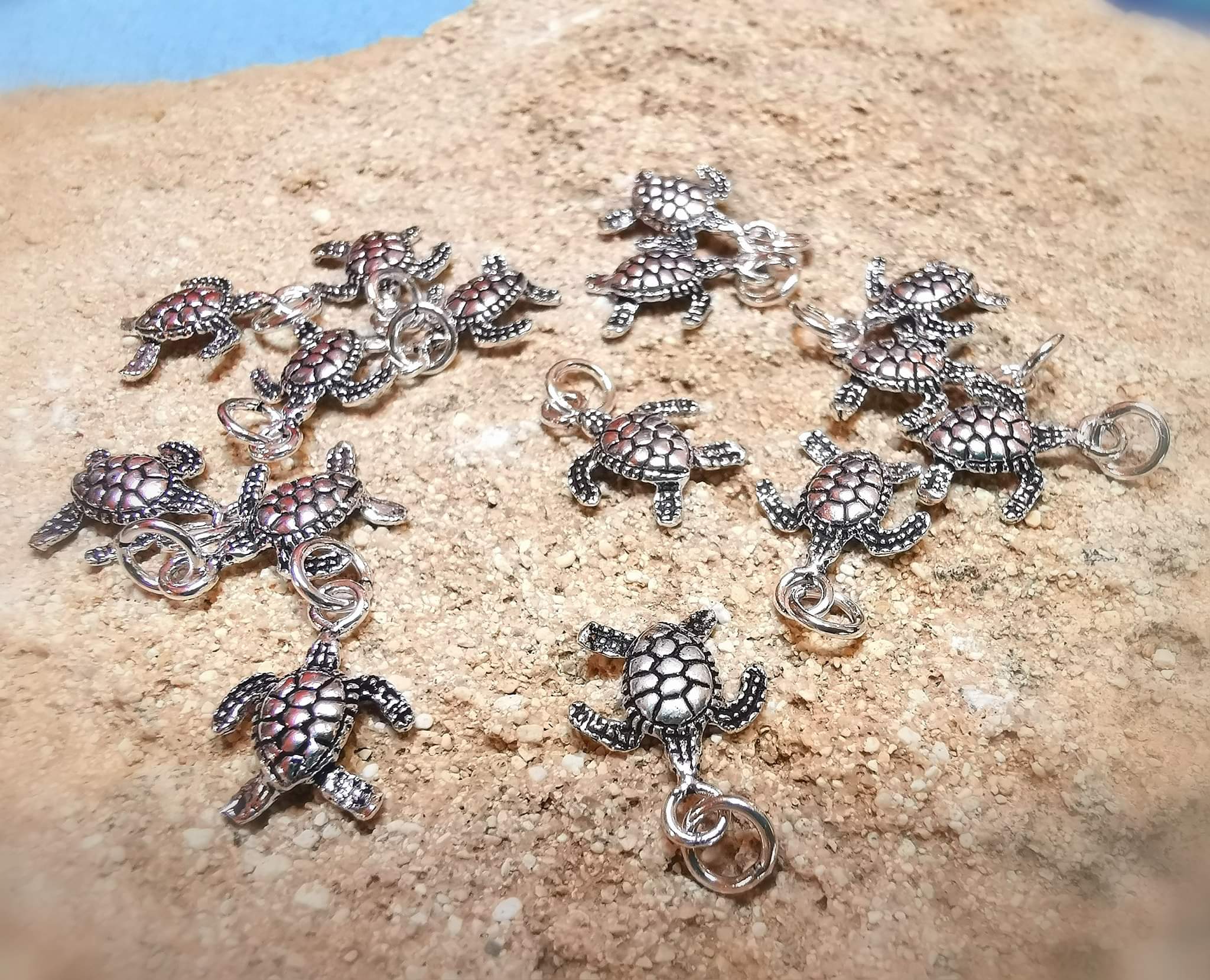 alles zu seiner Zeit, alles zu DEINER Zeit, die Wasserschildkröte