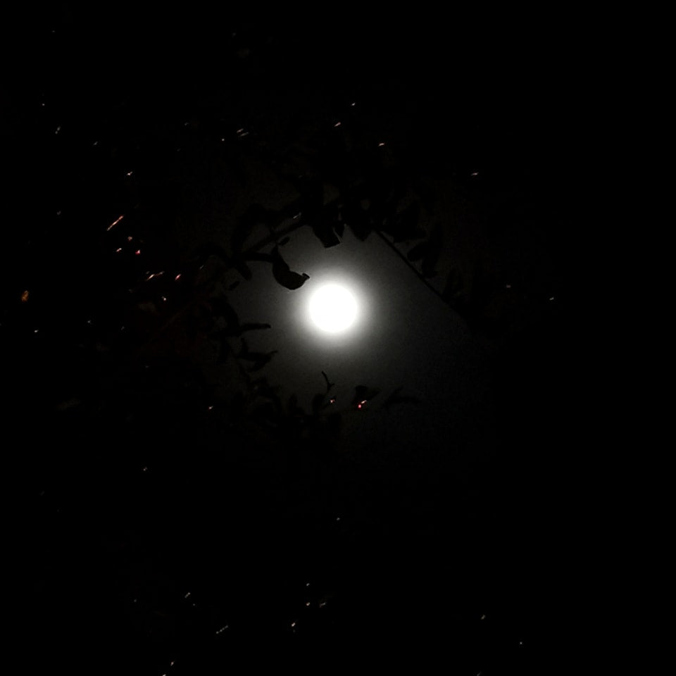 Vollmond Mallorca