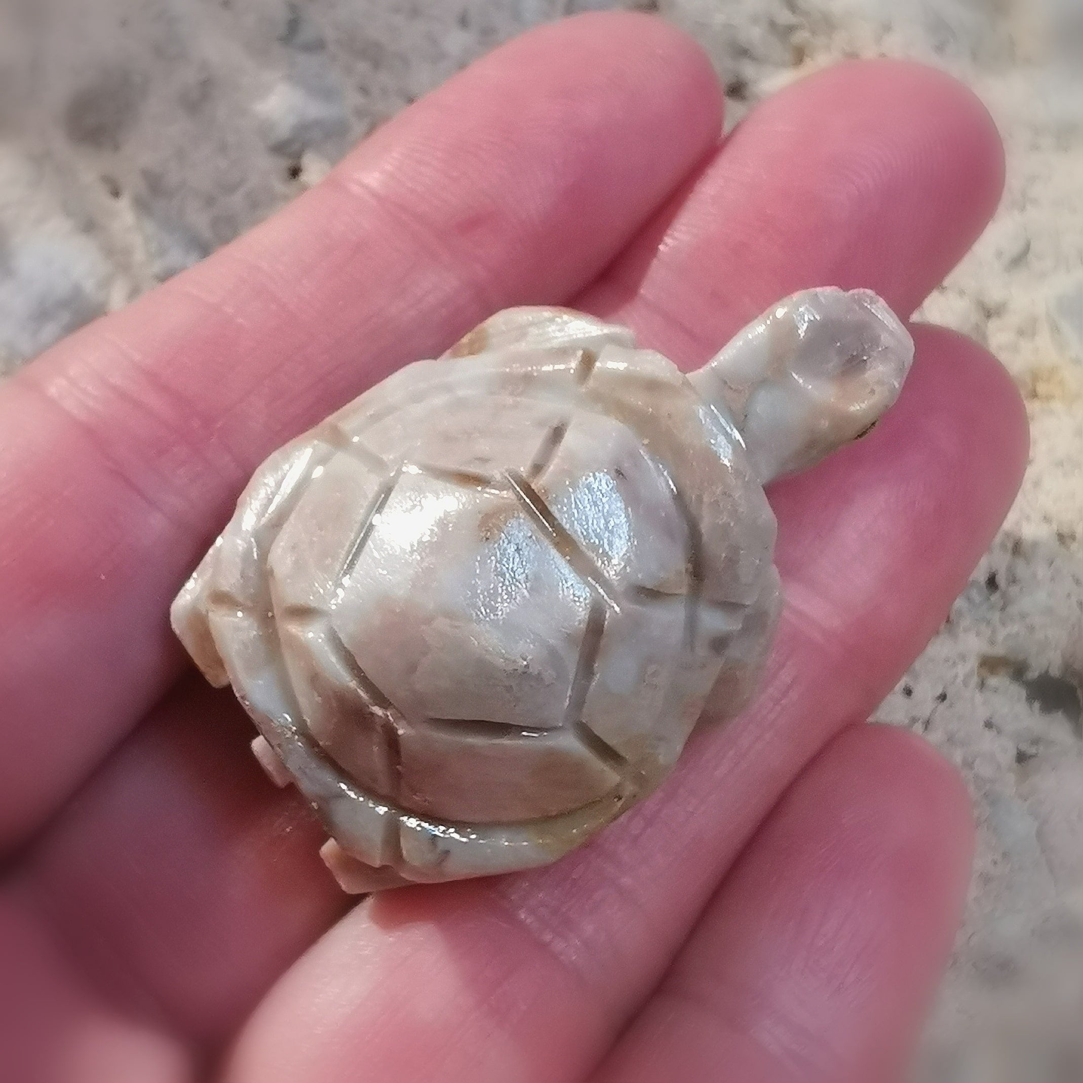 Schildkröte Serpentin, hell natur, geweihtes Edelstein Karma Krafttier, Talisman Handschmeichler Taschenstein, Meditationsstein