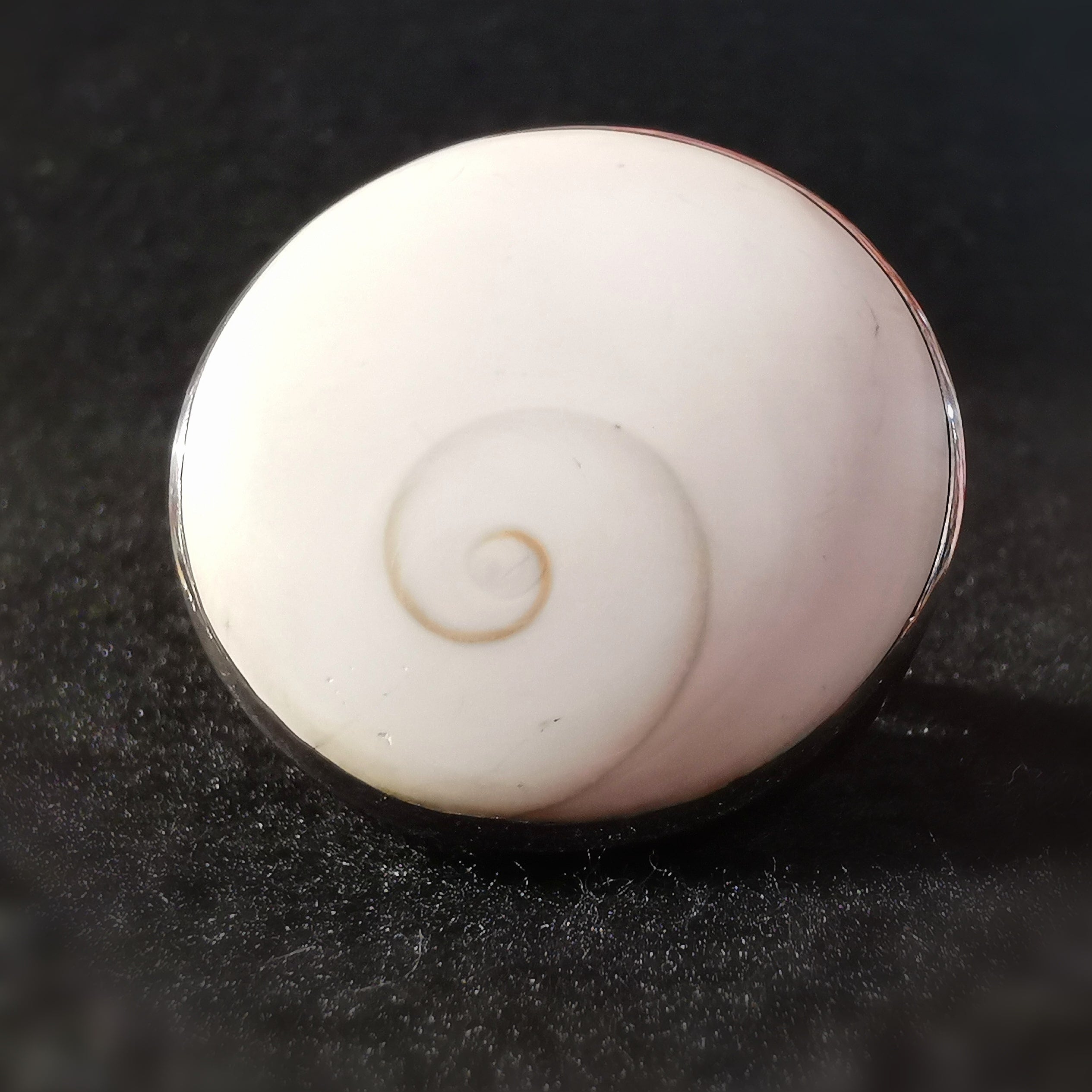 Shiva Auge Ring XXL Vintage, Shivas Auge Muschel Sterlingsilber Ring Größe 58 - im Schutz