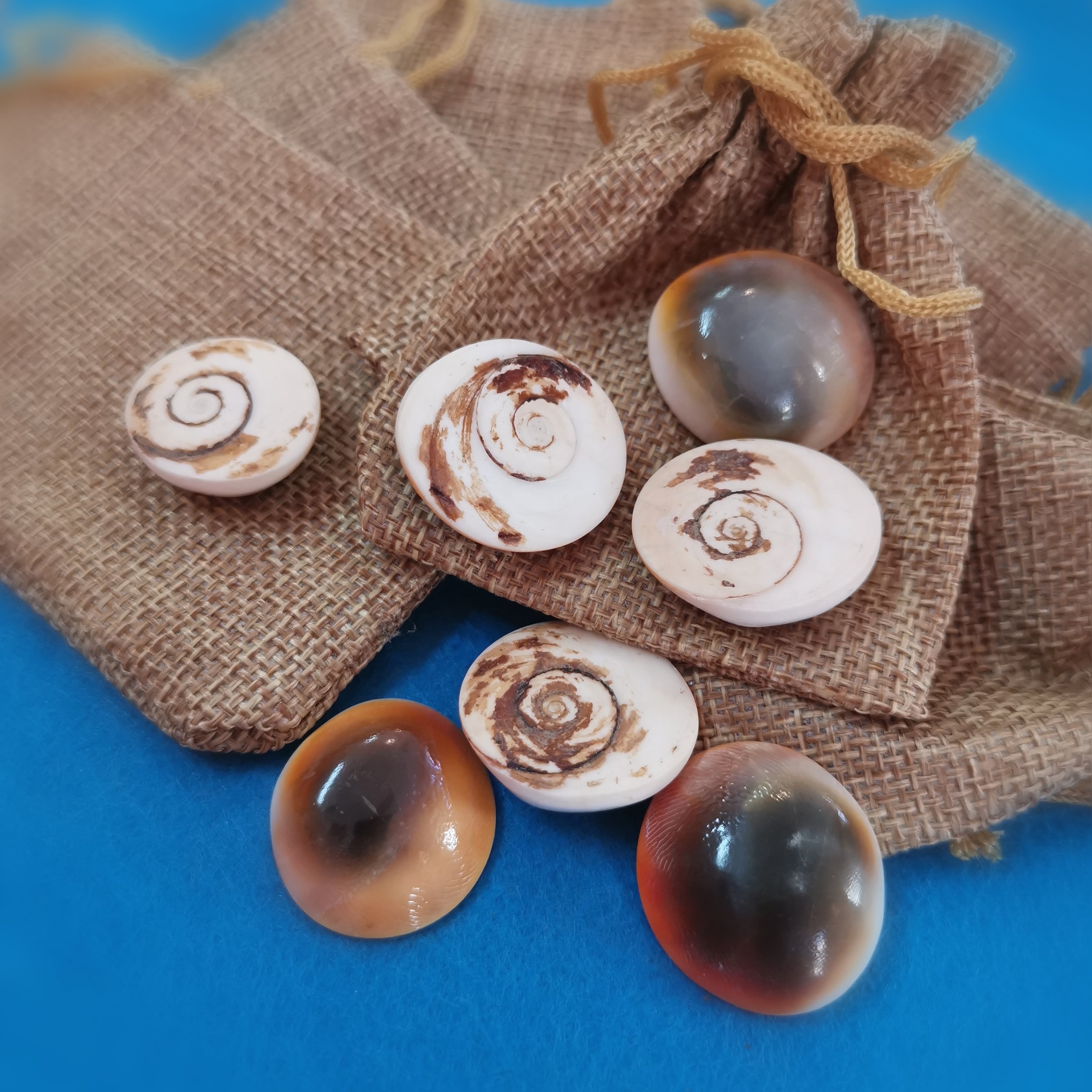 Mallorca Shiva Auge Muschel Talisman, zauberhafter Glücksbringer aus der Natur, Karma Chakra Harmonie