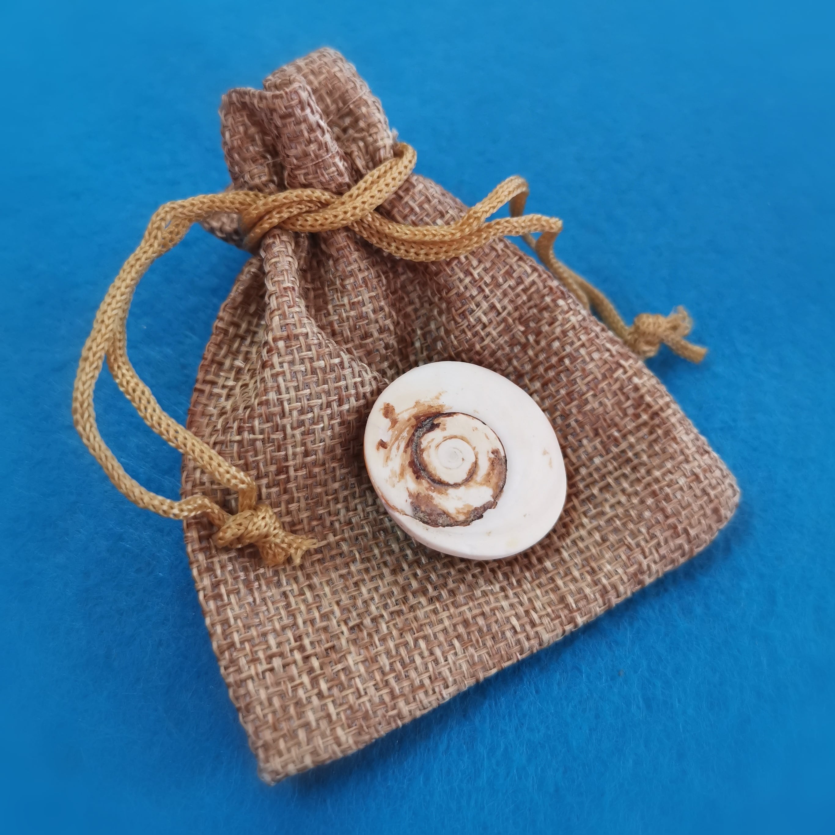 Mallorca Shiva Auge Muschel Talisman, zauberhafter Glücksbringer aus der Natur, Karma Chakra Harmonie