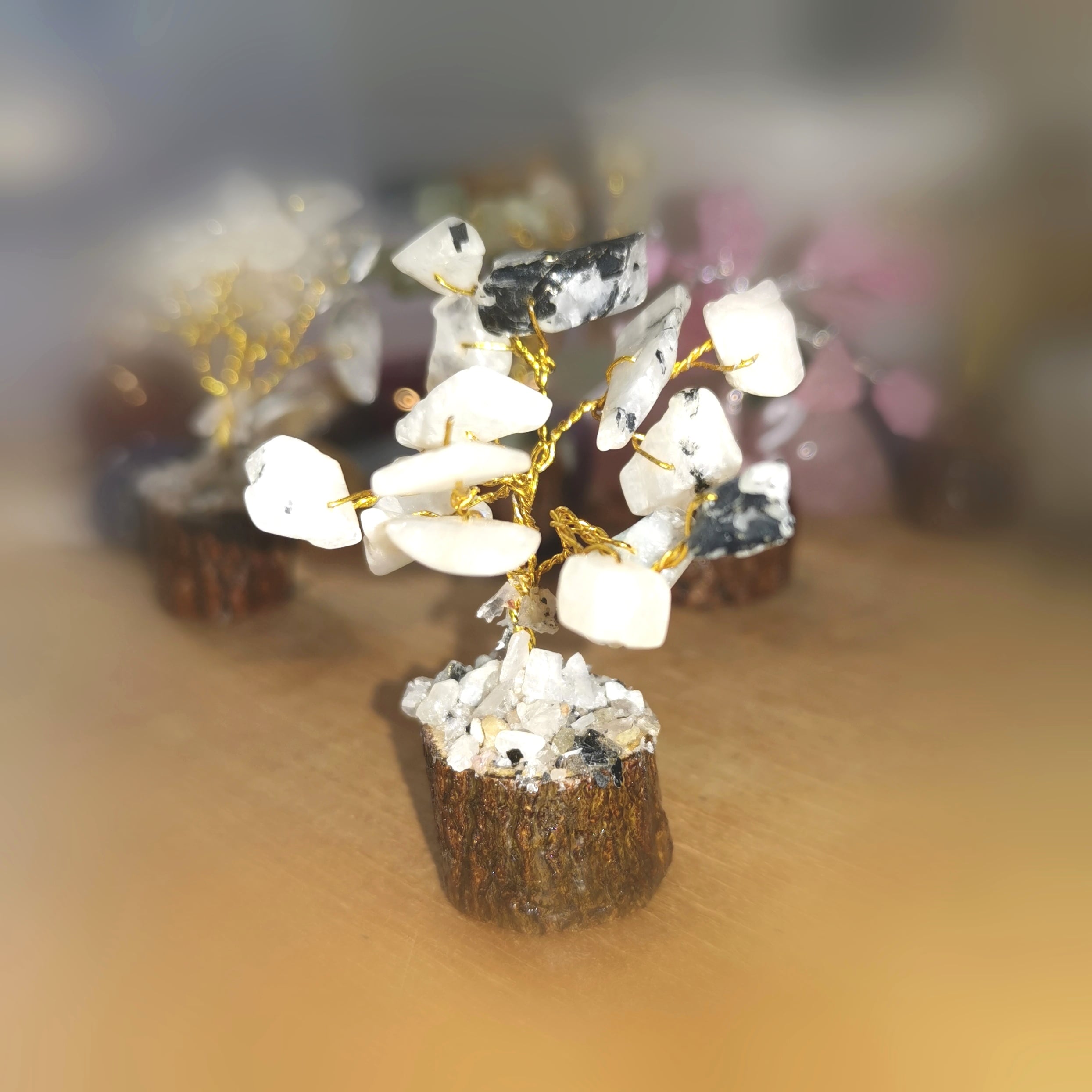 Mondstein Tiny Tree – geweiht für Intuition, Licht & sanfte Harmonie