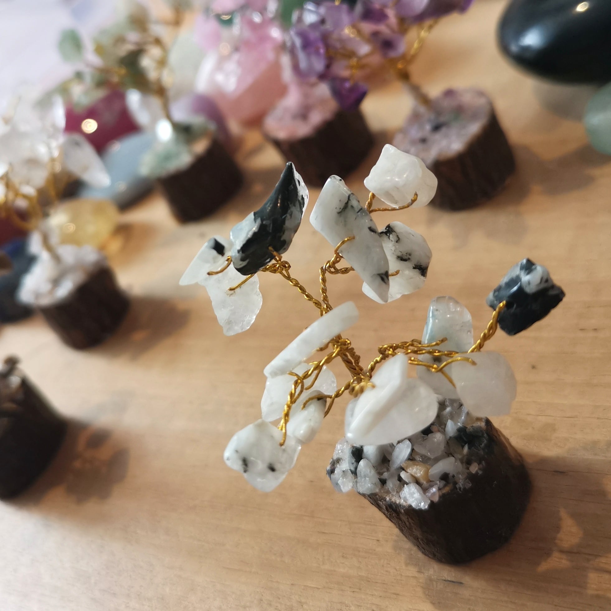 Mondstein Tiny Tree – geweiht für Intuition, Licht & sanfte Harmonie