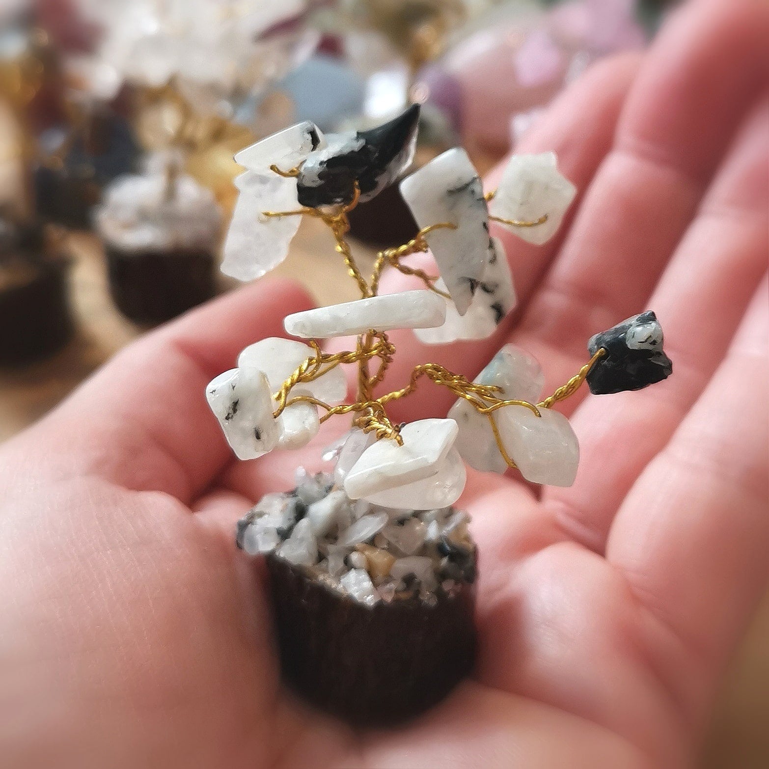 Mondstein Tiny Tree – geweiht für Intuition, Licht & sanfte Harmonie