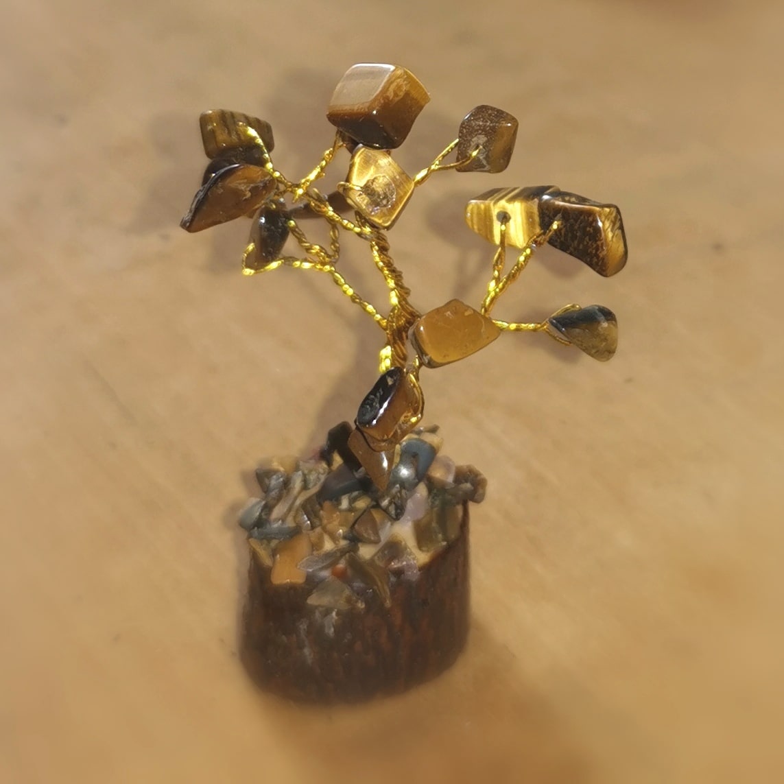 Árbol pequeño de ojo de tigre – consagrado para el coraje, la fuerza y la claridad interior.