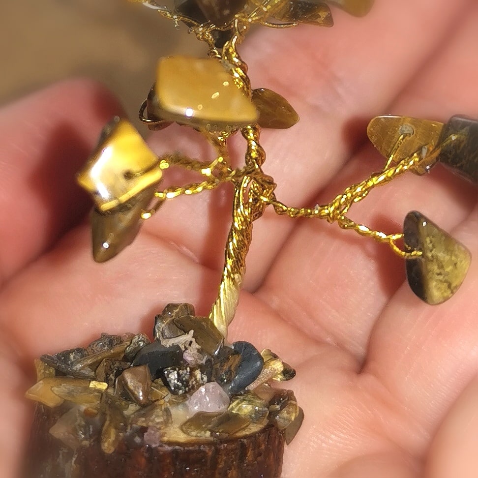 Árbol pequeño de ojo de tigre – consagrado para el coraje, la fuerza y la claridad interior.