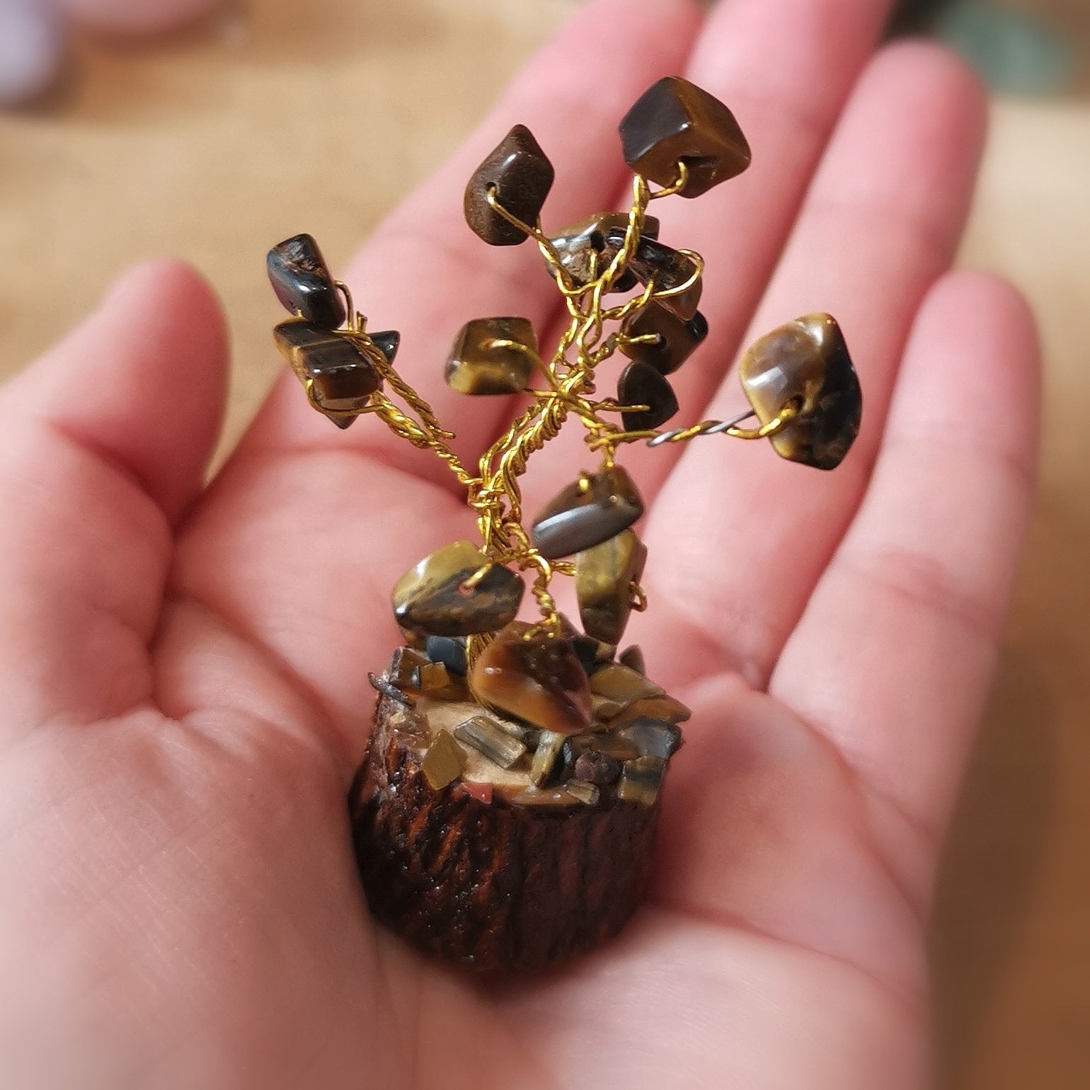 Árbol pequeño de ojo de tigre – consagrado para el coraje, la fuerza y la claridad interior.