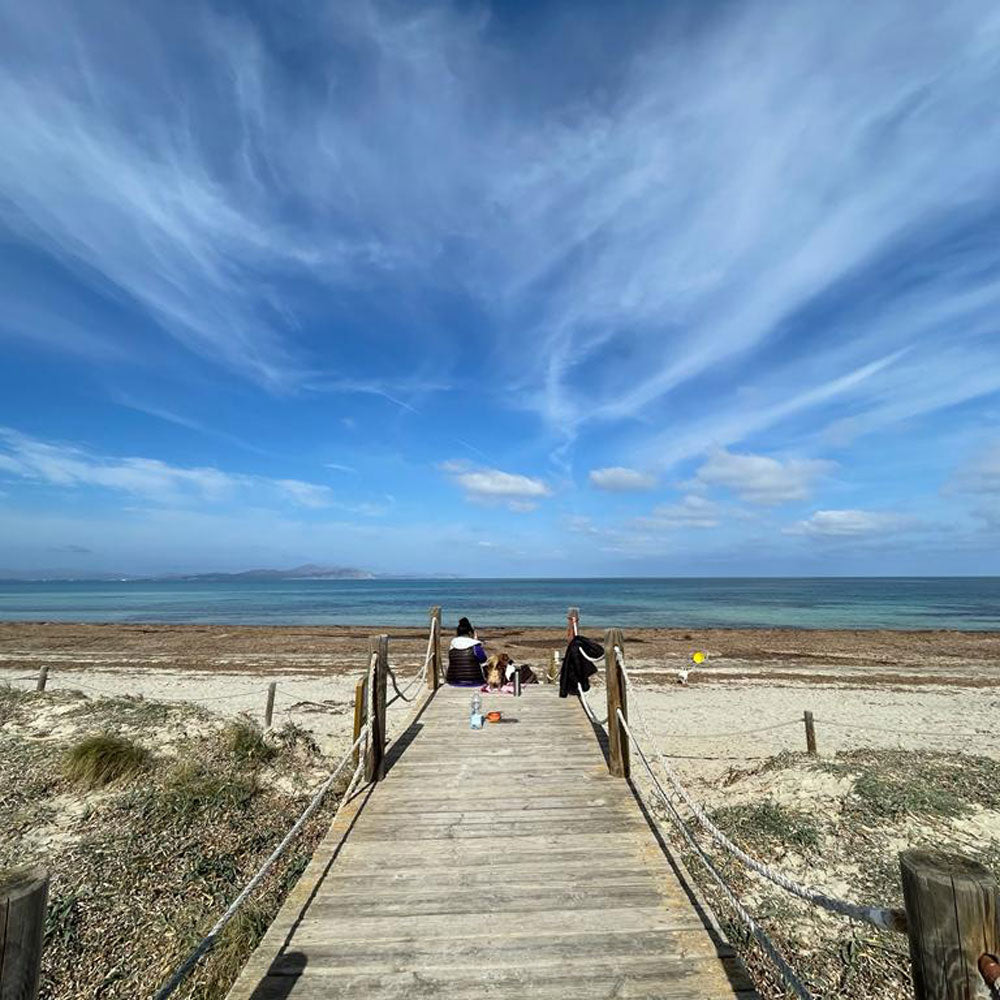 Fernreiki, nachfolgende Behandlung, Susanne Bender, samaki mallorca