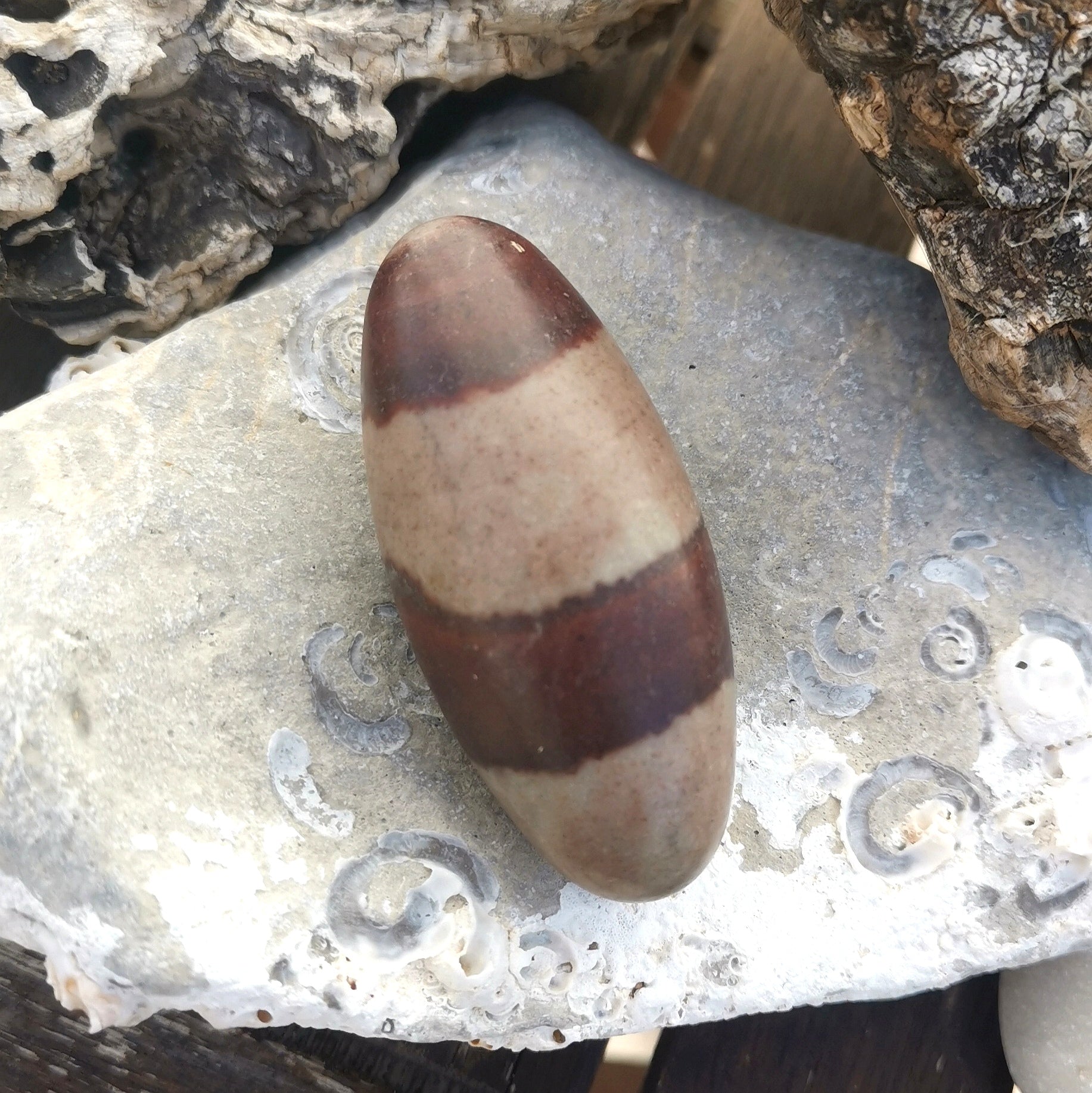 Shiva Lingam Edelstein zur Meditation, Größe L, Glücksstein #Ruhepol
