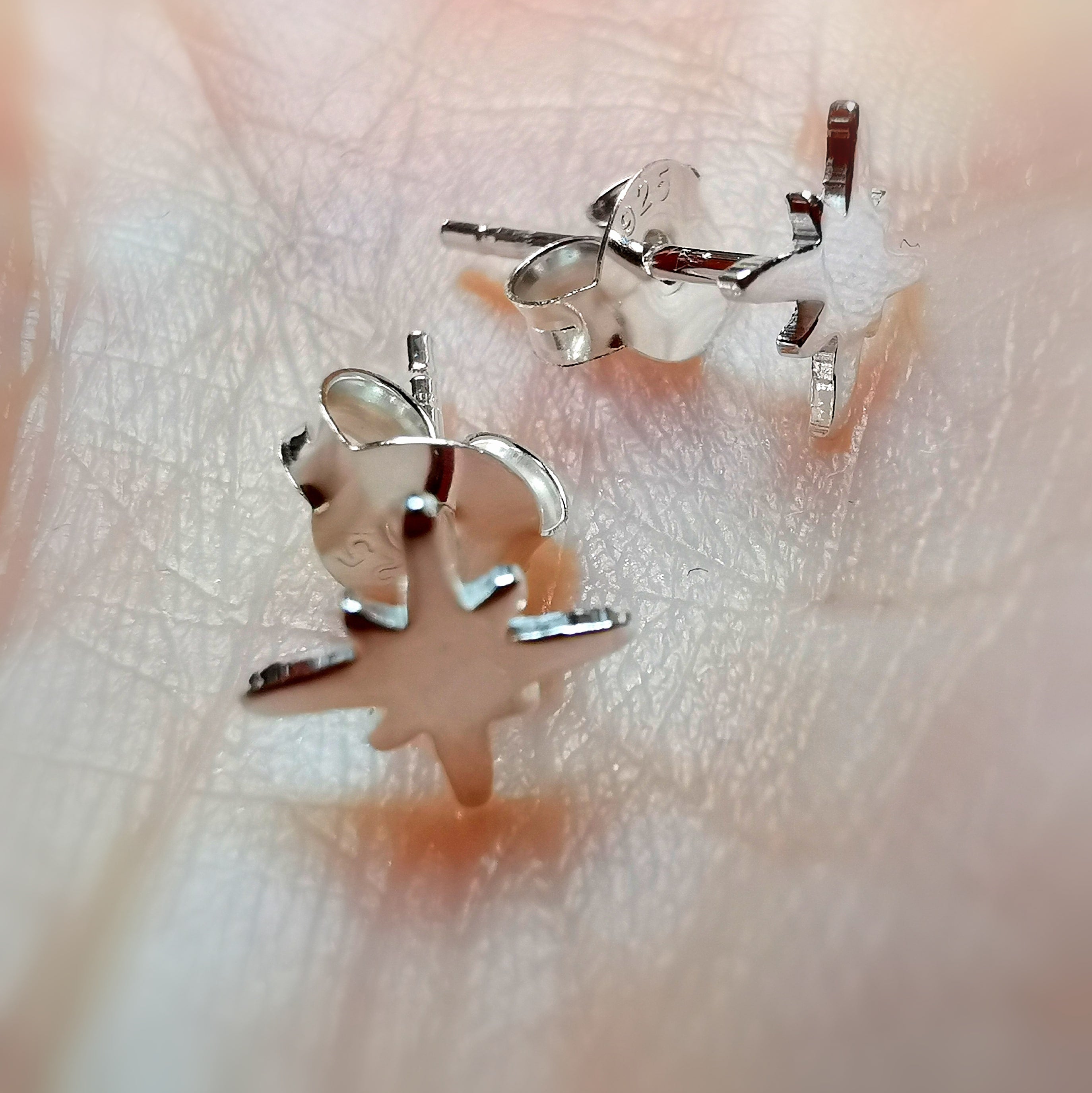 ⭐ Mini Polar Star Stud Earrings – Your shining guide ⭐