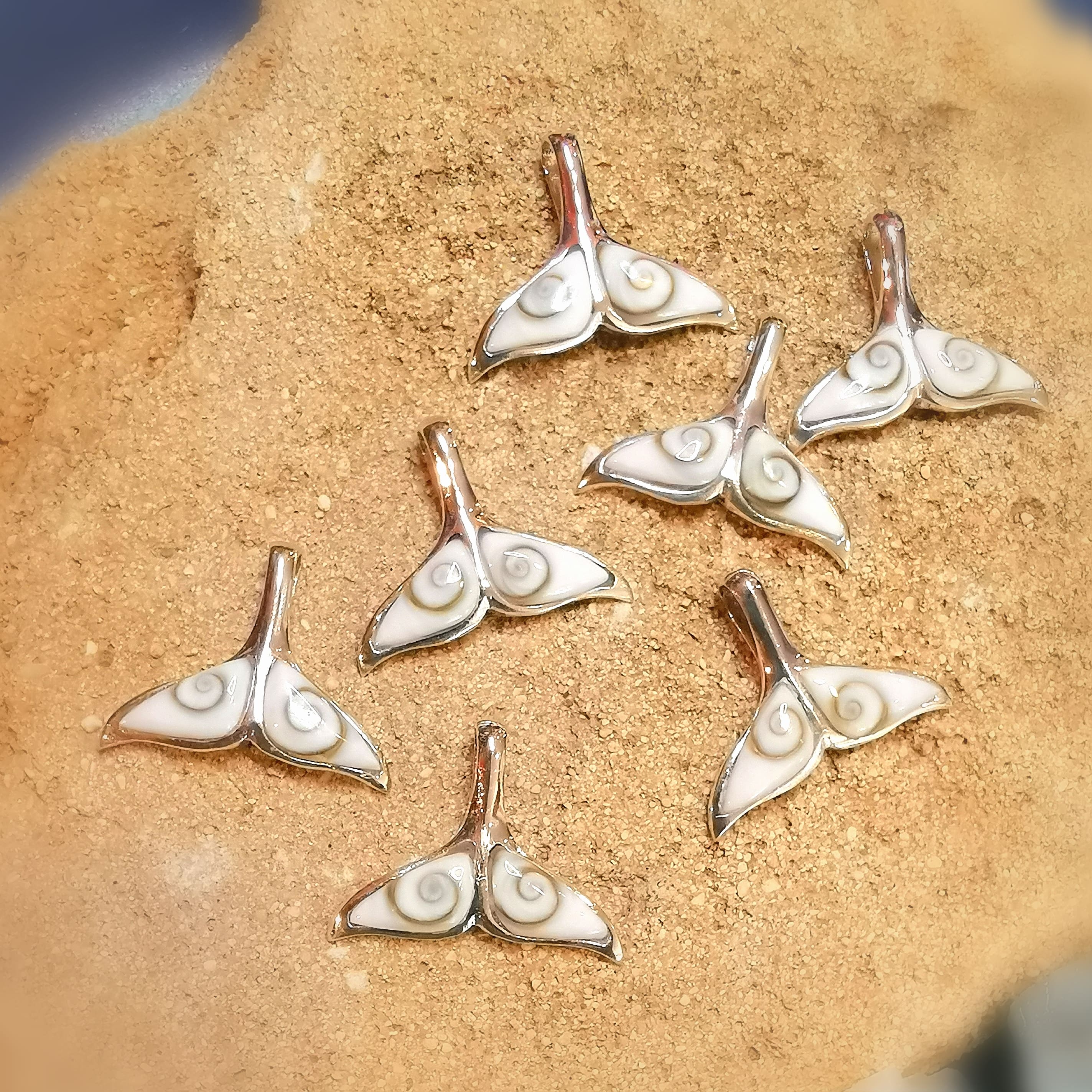 🐋 Whale fin Shiva eye shell pendant – consecrated for freedom, intuition & protection