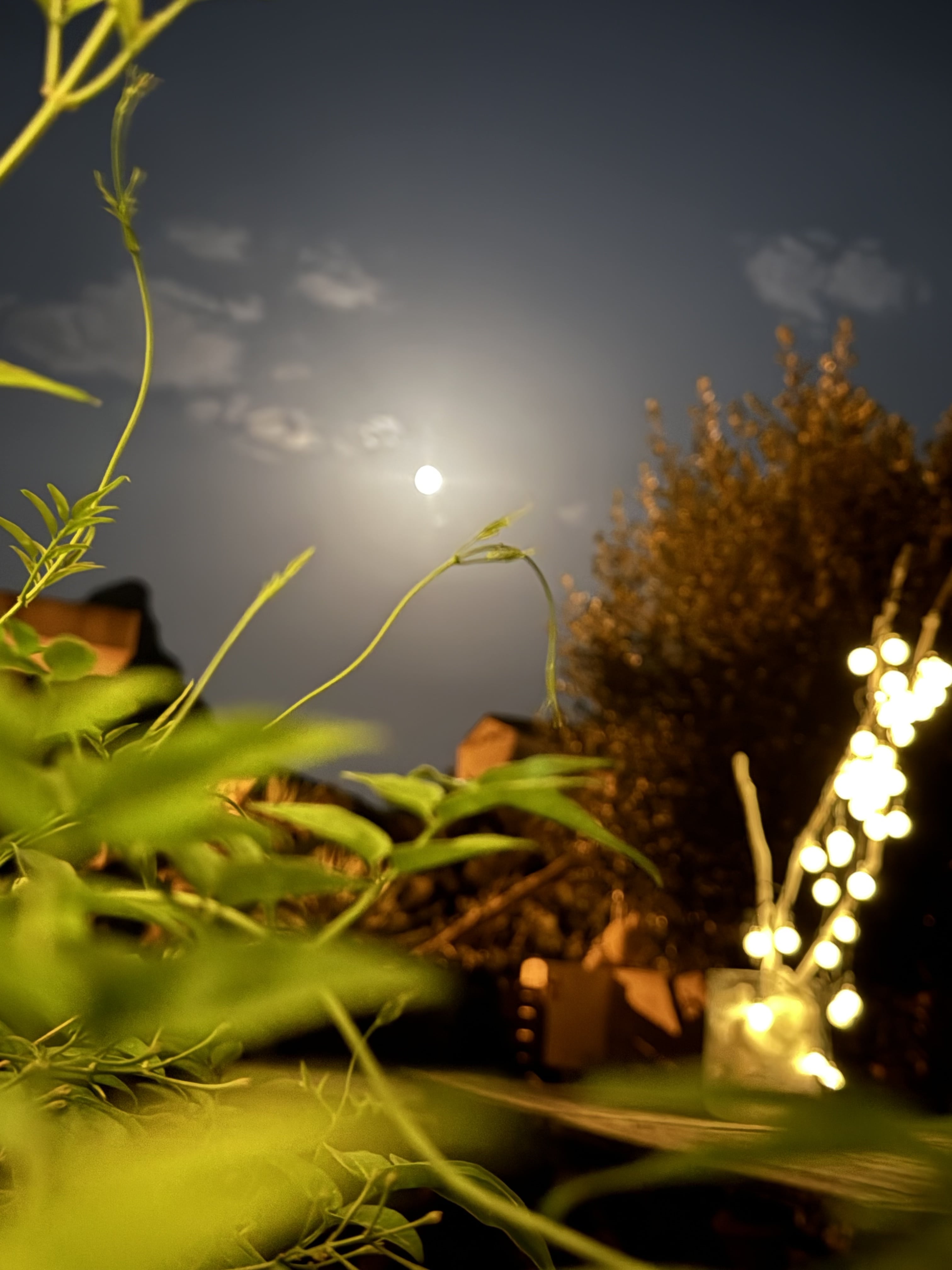 Supervollmond im Wassermann 🌕 am 9. August 2025 · 12:55 Uhr (MESZ)