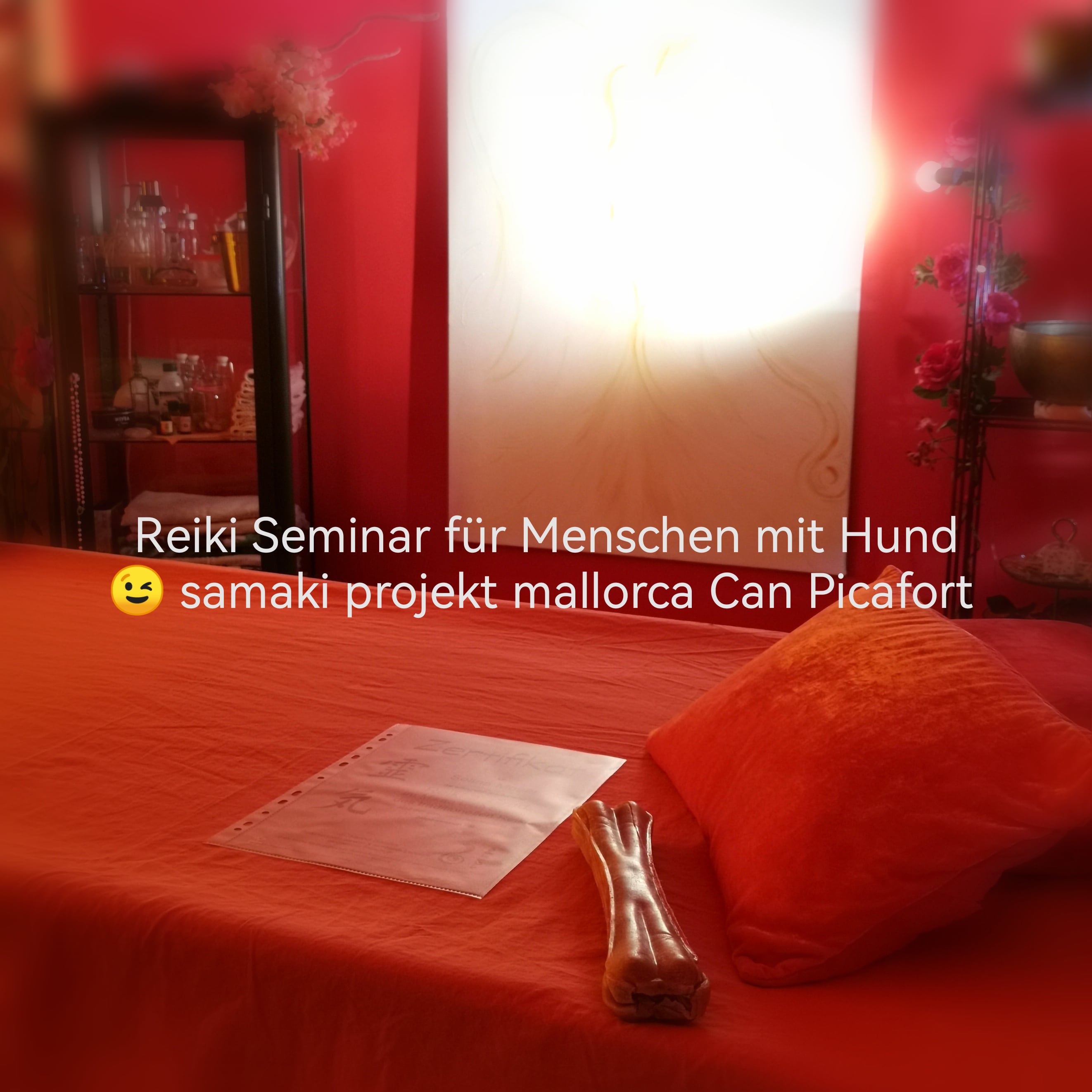 Reiki Seminar mit Hund