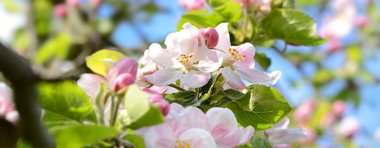 one can hope, but one can always do that, one should even hope like cr