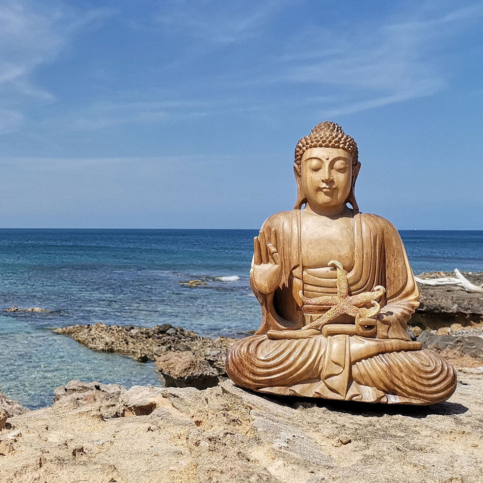 Meditación y coaching en Mallorca