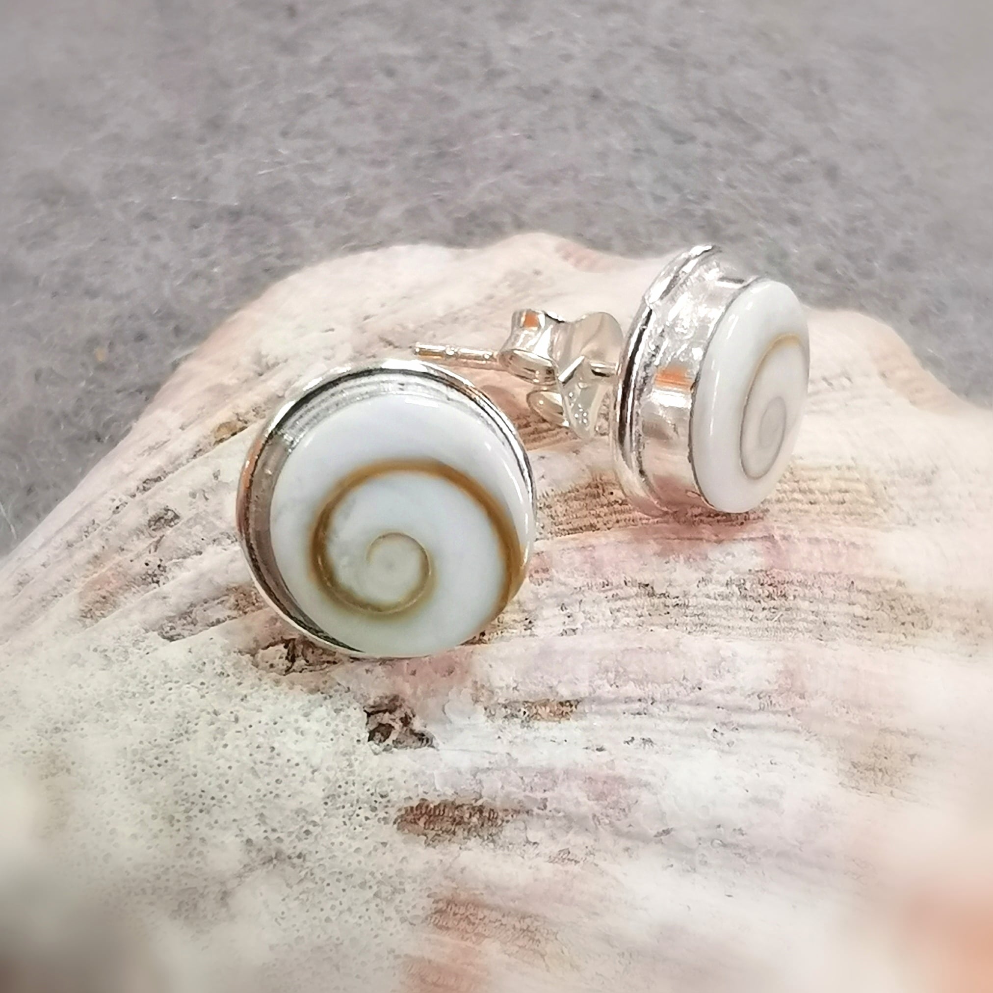 Shiva Auge Muschel Ohrstecker – für Glück & Schutz