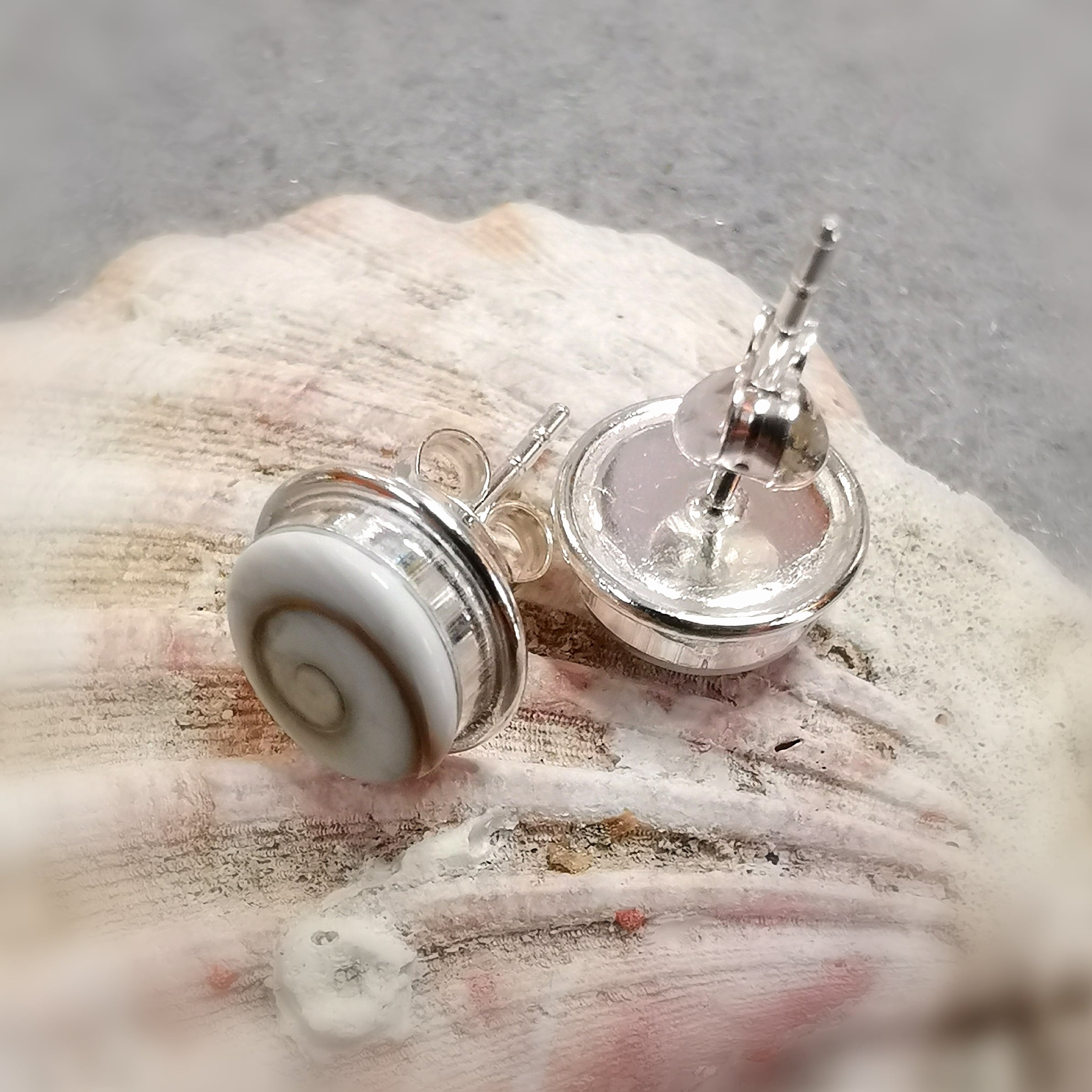 Shiva Auge Muschel Ohrstecker – für Glück & Schutz