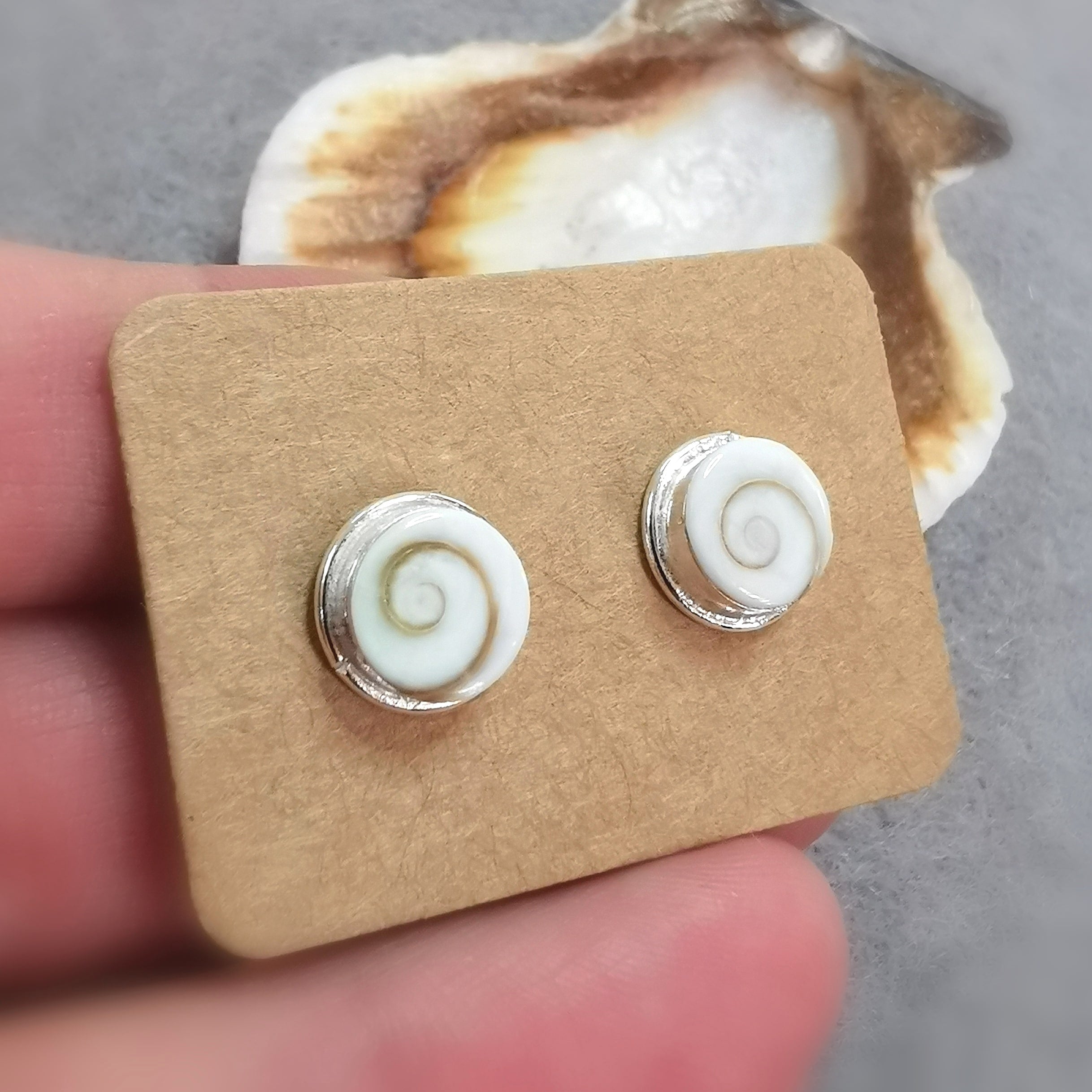 Shiva Auge Muschel Ohrstecker – für Glück & Schutz
