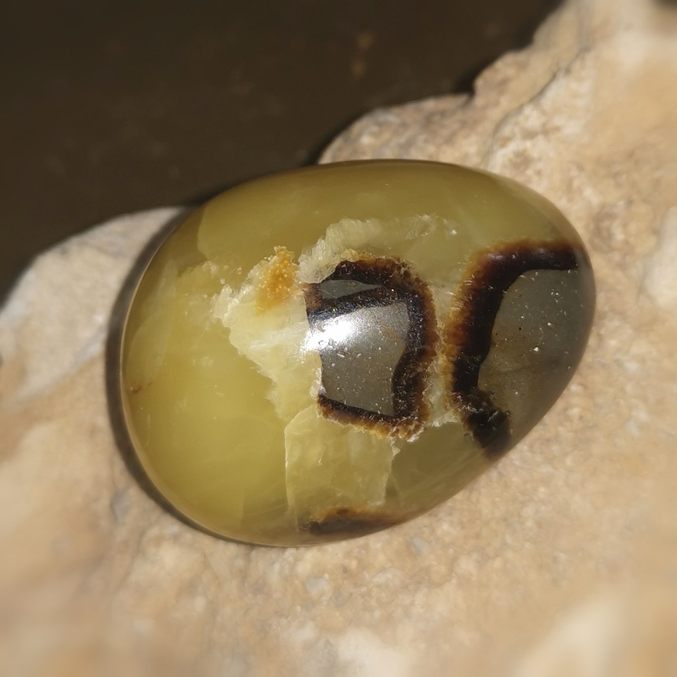 Septarie Edelstein Meditationsstein – geweiht für Erdung, Mut & innere Klarheit