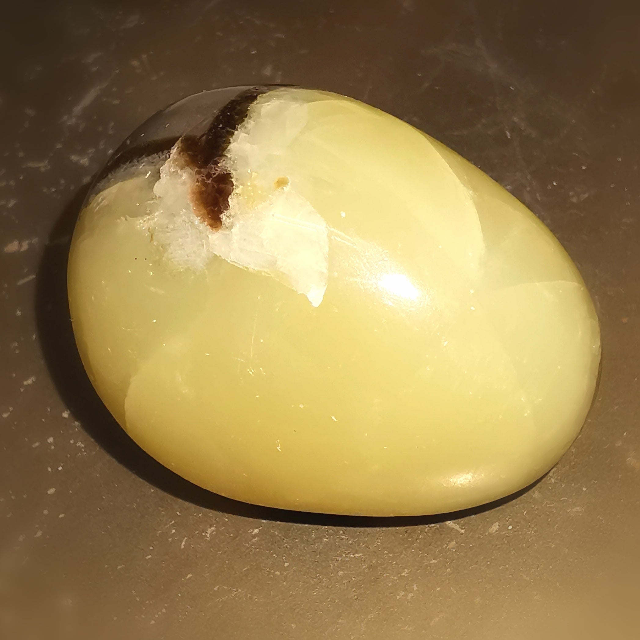 Septarie Edelstein Meditationsstein – geweiht für Erdung, Mut & innere Klarheit