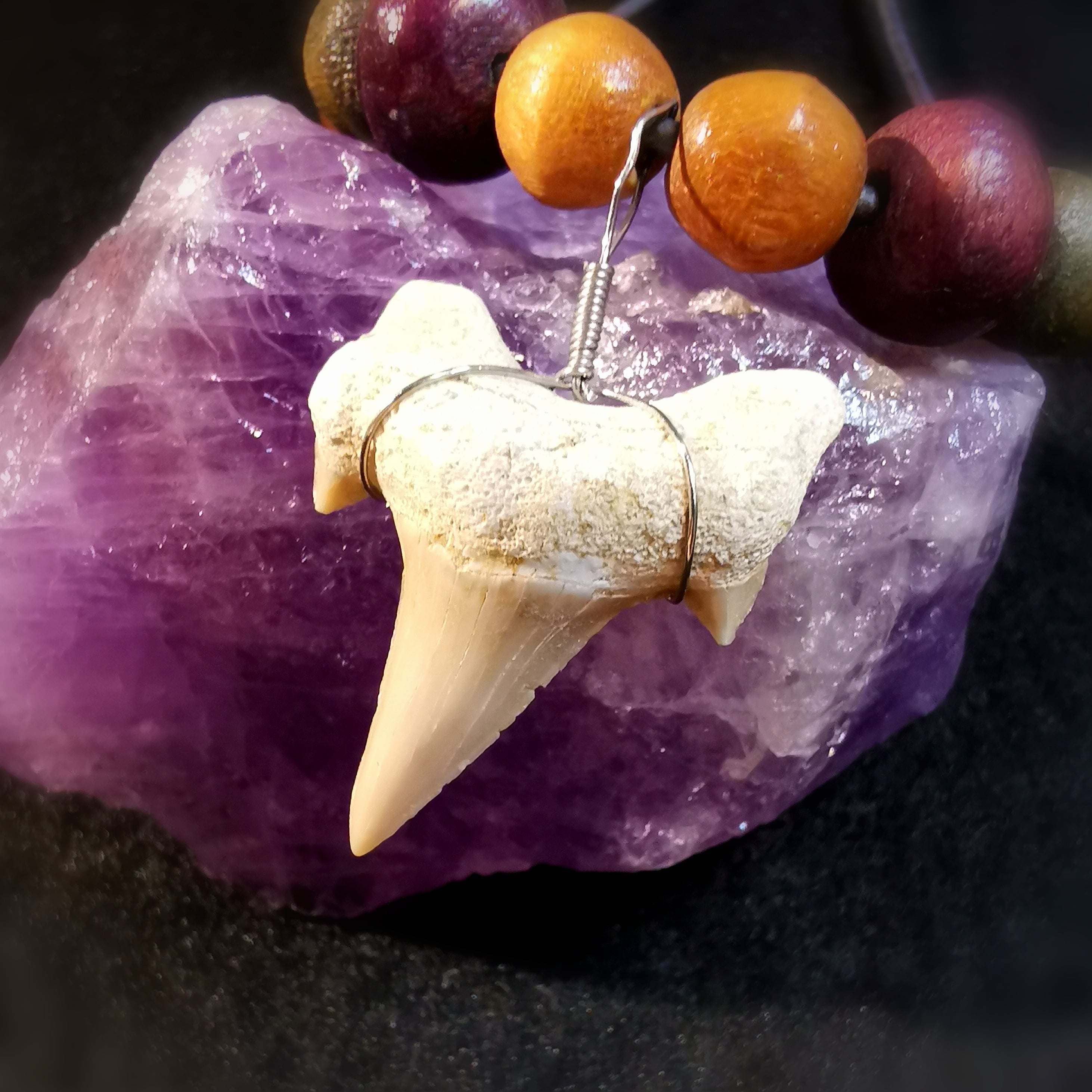 fossiler Haizahn Krafttier mit Holz Perlen Karma Kette  naturgefärbt an Leder, geweiht - Selbstvertrauen und Mut