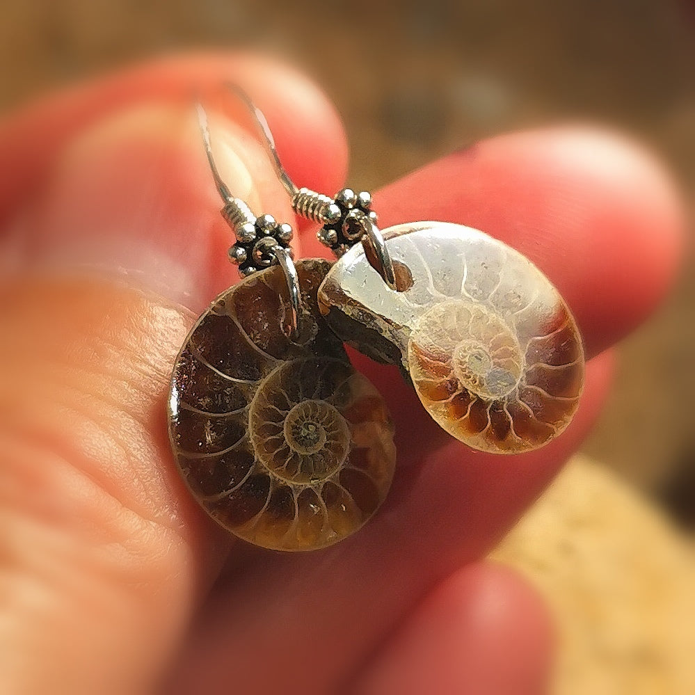 Ammonit Fossil Karma Ohrringe Ohrhänger, Naturschmuck und Sterlingsilber, neue Wege