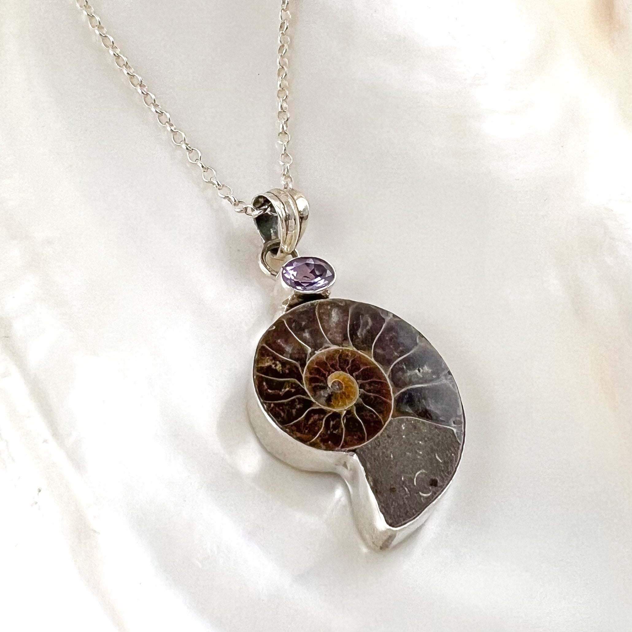 Ammonite Fossil Amethyst Gemstone Healing Stone Talisman Karma Necklace Sterling Silver Rarity XL - Joy of Life